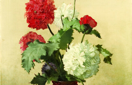 W brązowym wazonie znajduje się siedem maków ozdobnych: białe, czerwone i fioletowe. Tło jest neutralne - beżowe, dobrane kolorystycznie do barwy roślin.
